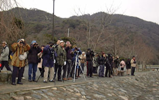 嵐山・桂川探鳥会