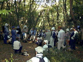 東山探鳥会