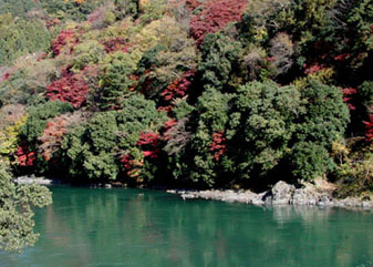 宇治川探鳥会